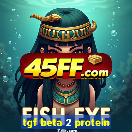 tgf beta 2 protein